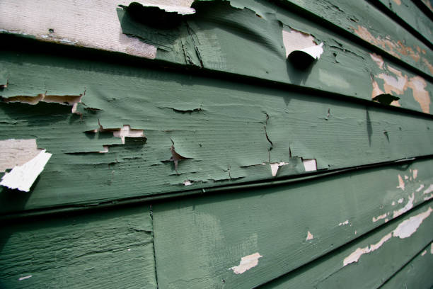 Professional Siding Installation & Repair in West Milwaukee, WI